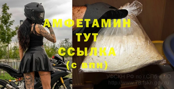 ГАЛЛЮЦИНОГЕННЫЕ ГРИБЫ Киренск