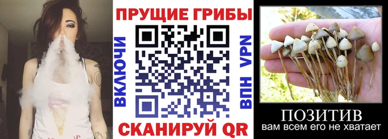 даркнет сайт  OMG рабочий сайт  Галлюциногенные грибы MAGIC MUSHROOMS  Льгов 